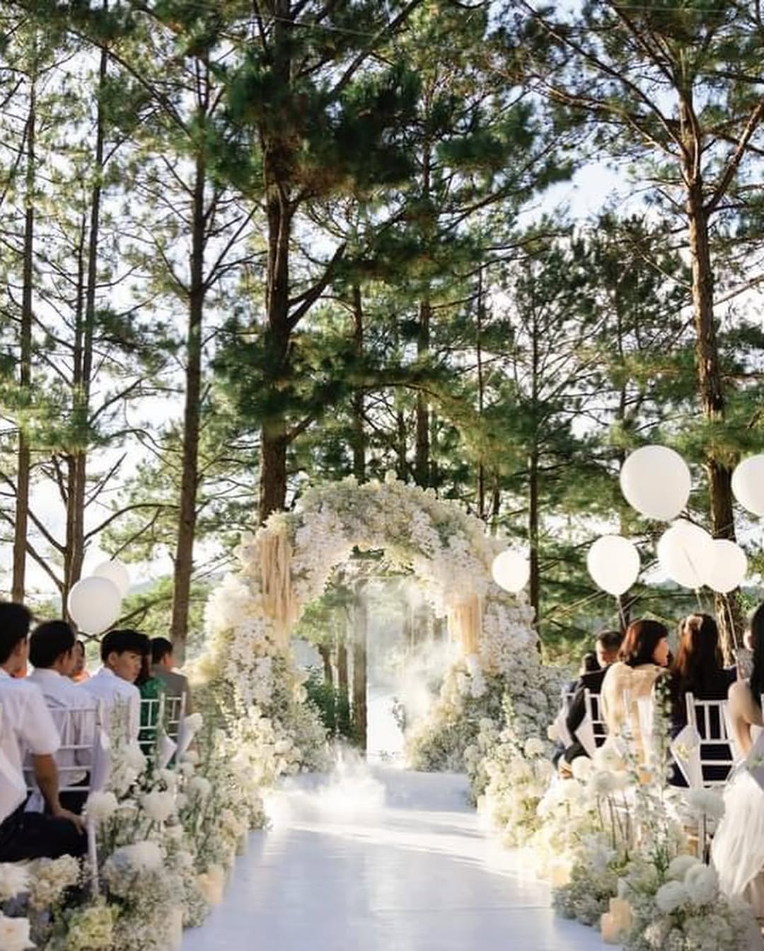 Đám Cưới Resort Đà Lạt Trong Không Gian Lối Đi Lễ Đường Rừng Thông Đà Lạt - The Pine Wedding Planner