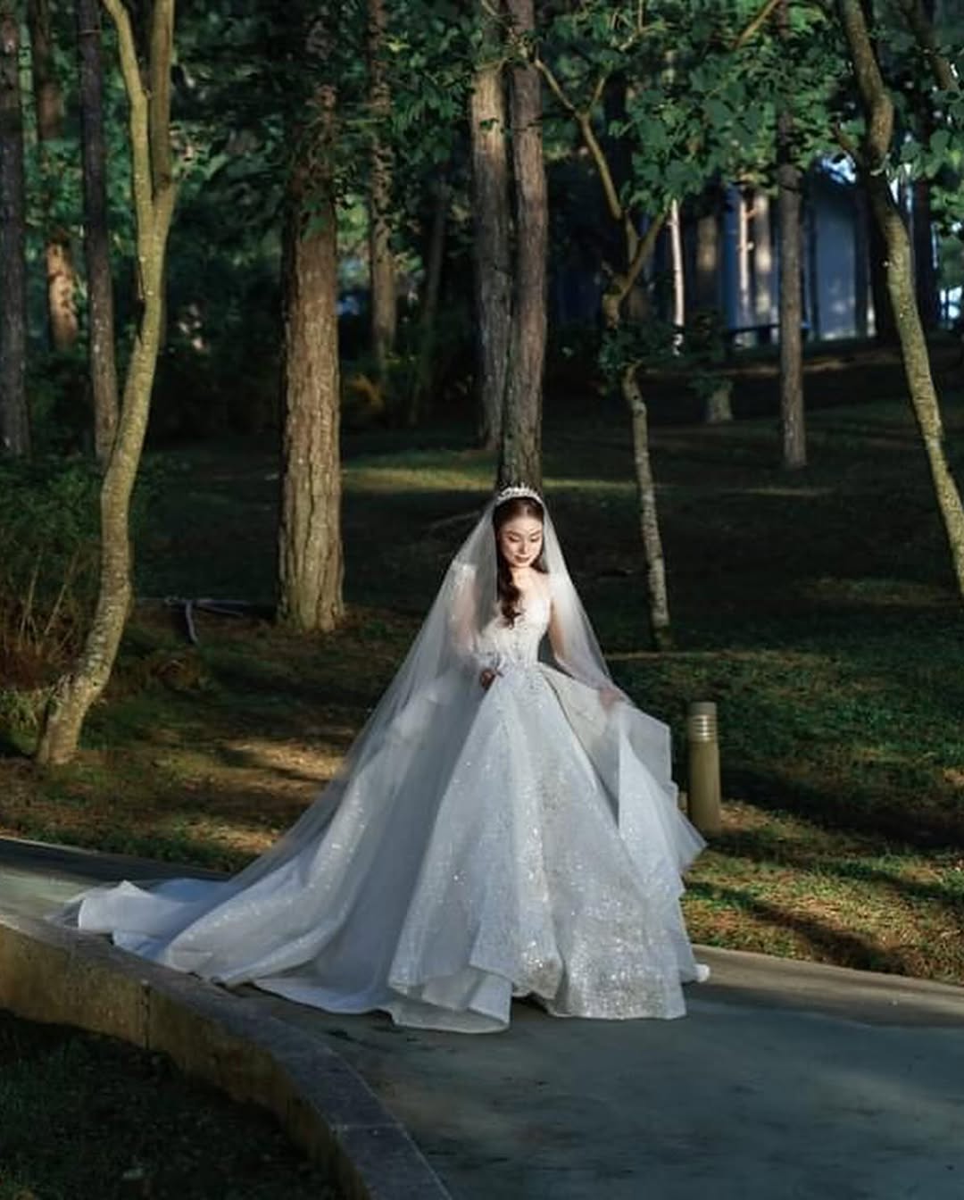 Địa Điểm Làm Đám Cưới Ở Đà Lạt Trong Rừng Thông Đà Lạt - The Pine Wedding Planner